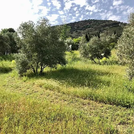Satori, Paradise In Rural