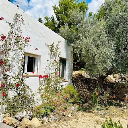 Satori, Paradise In Rural *